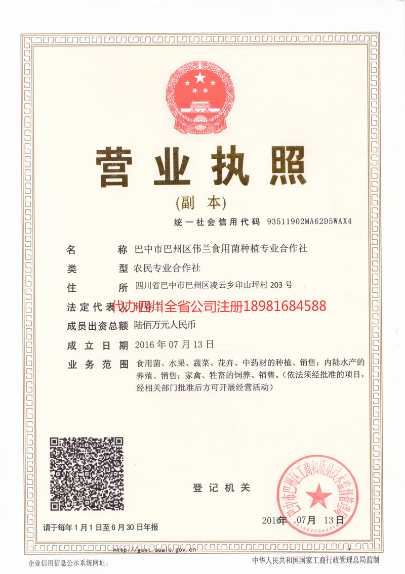 武穴武穴伟兰食用菌种植专业合作社